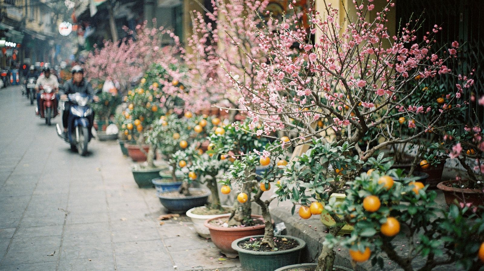 What Tet Means for a Trip to Hanoi