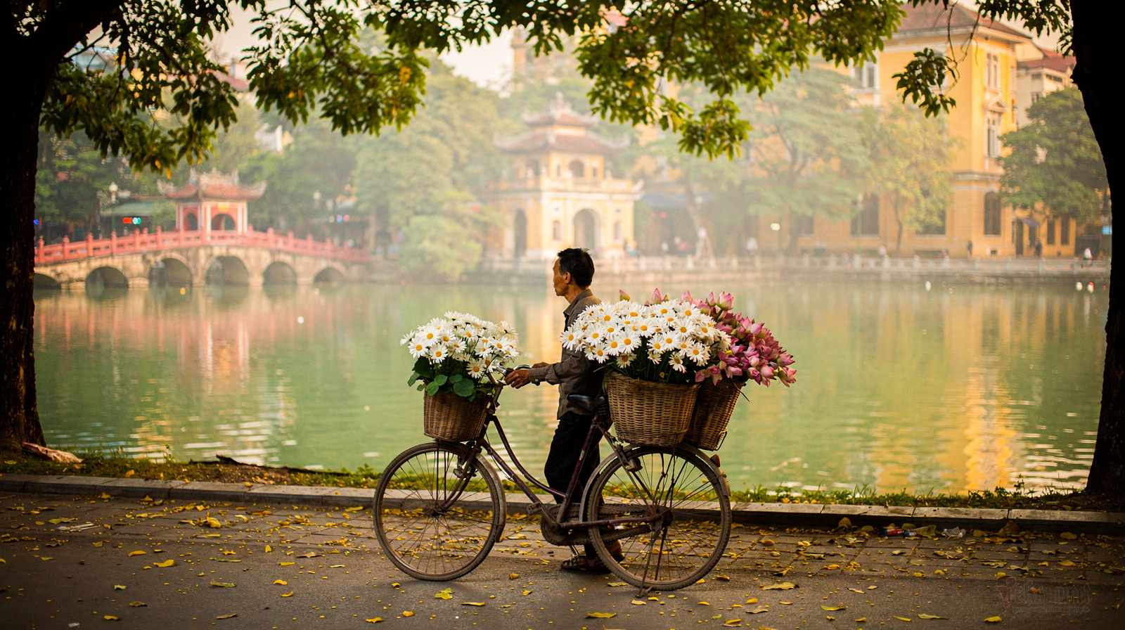 Hanoi by Season