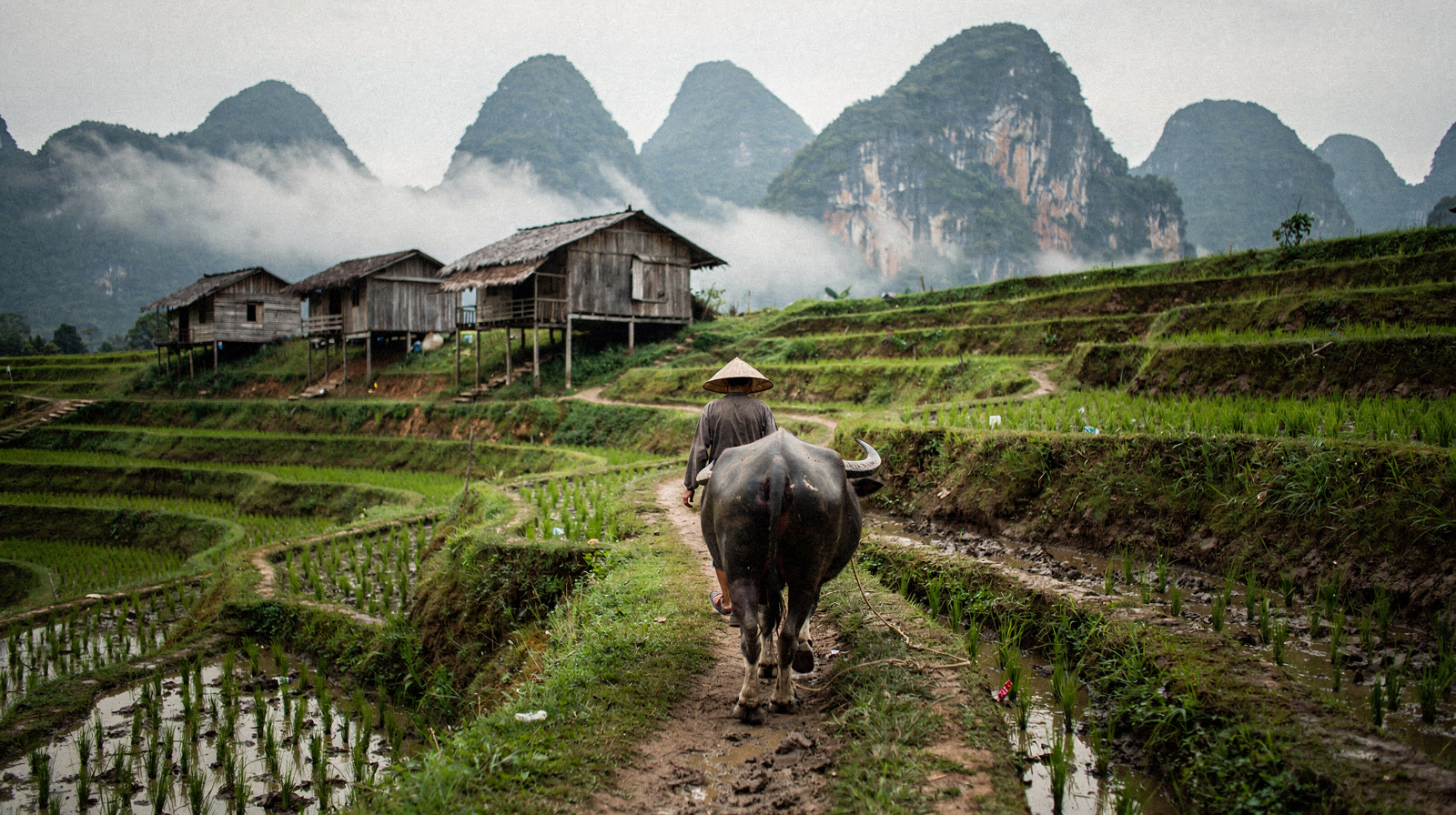 Cao Bang