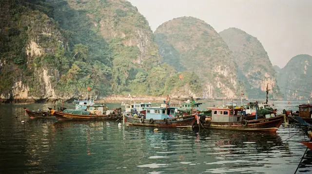Cat Ba island