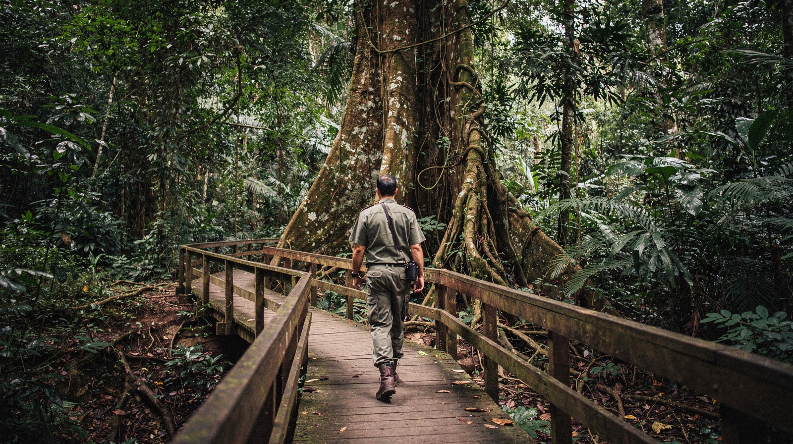 Cuc Phuong National Park: Vietnam's Oldest Rainforest