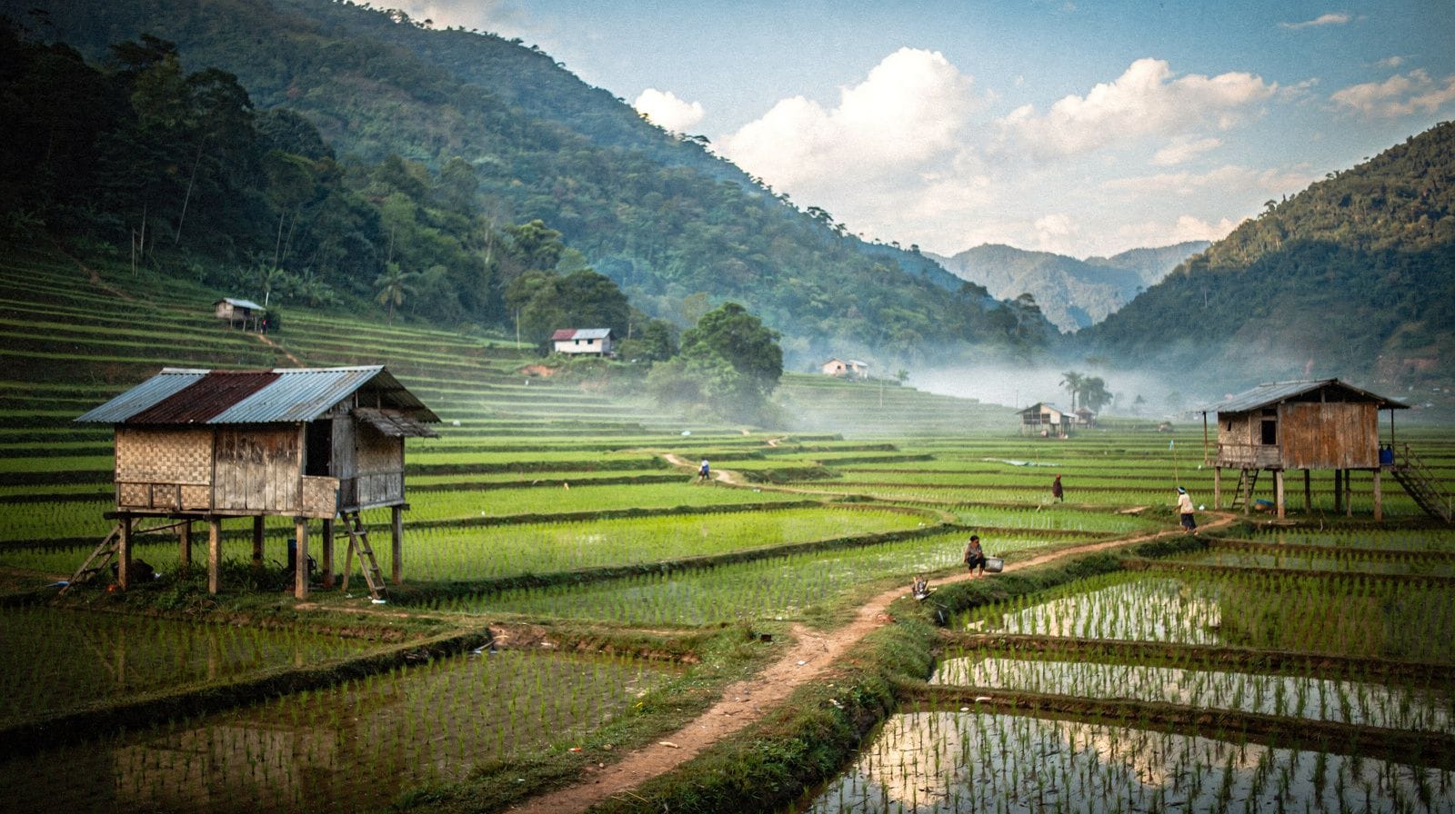 Mai Chau