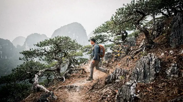 Sapa Trekking Guide: The Hub for Walks in Vietnam's North