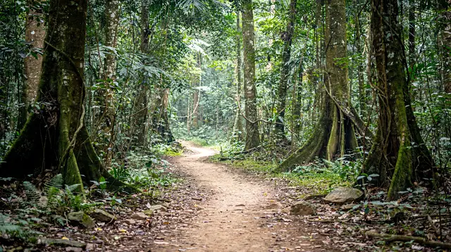 Cuc Phuong National Park Day Trip from Hanoi