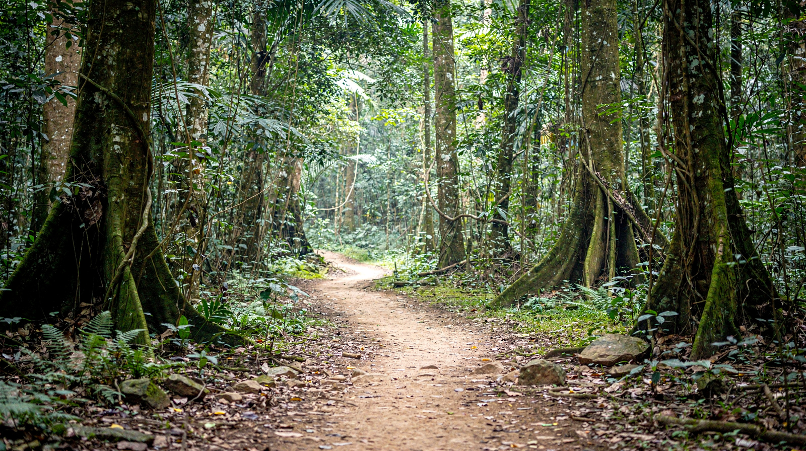 Cuc Phuong National Park Day Trip from Hanoi