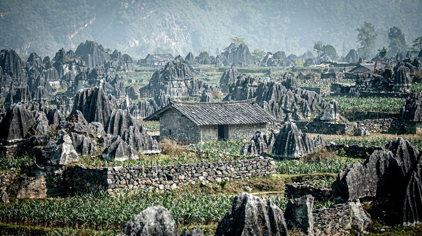 The Dong Van Karst Plateau: Ha Giang's High Ground
