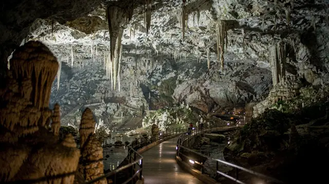 Caves of Ha Long Bay: What You'll See on the Water