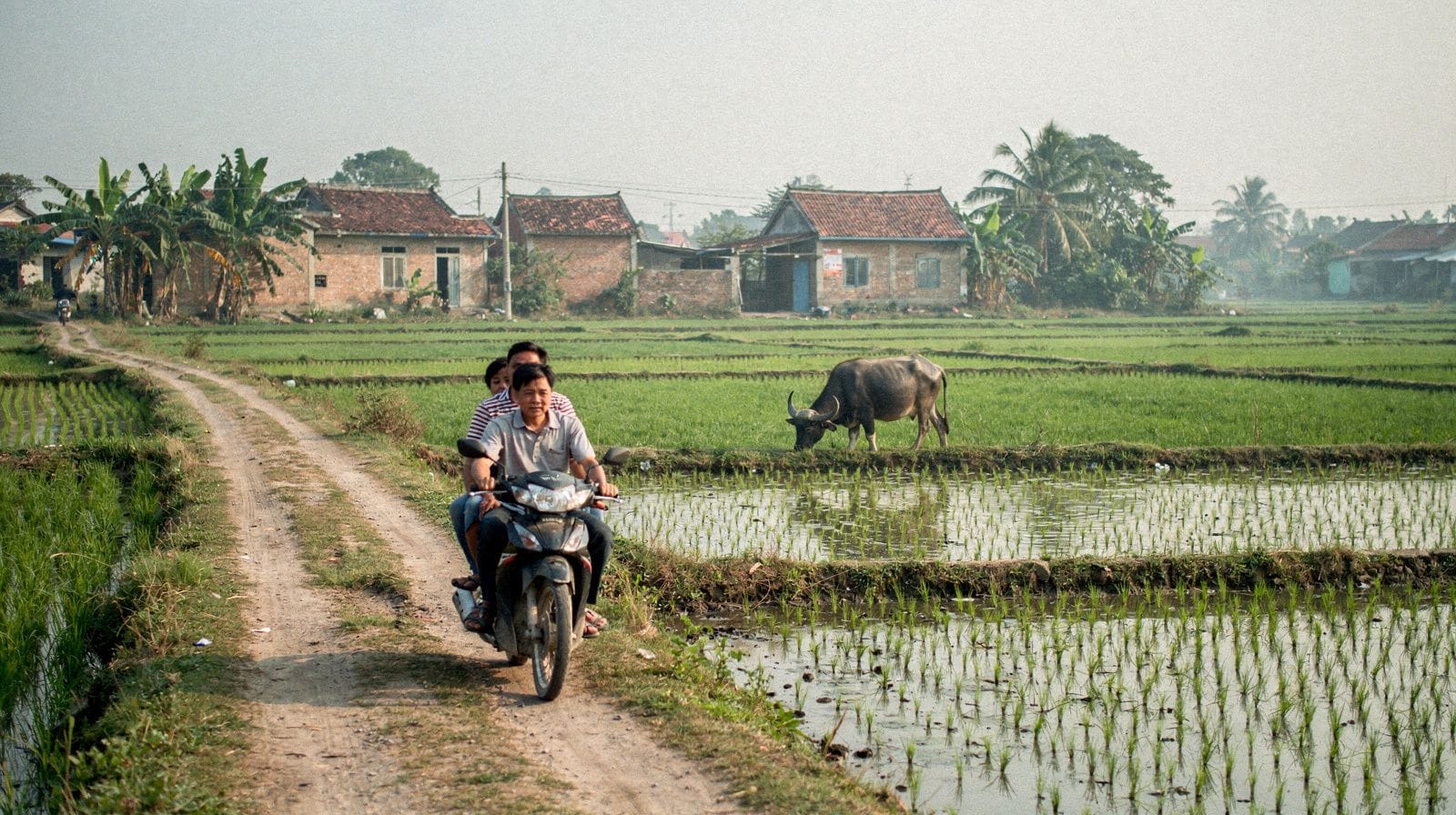 Countryside Two-Wheel Tours from Hanoi: Vespa and Motorbike Rides Beyond the City
