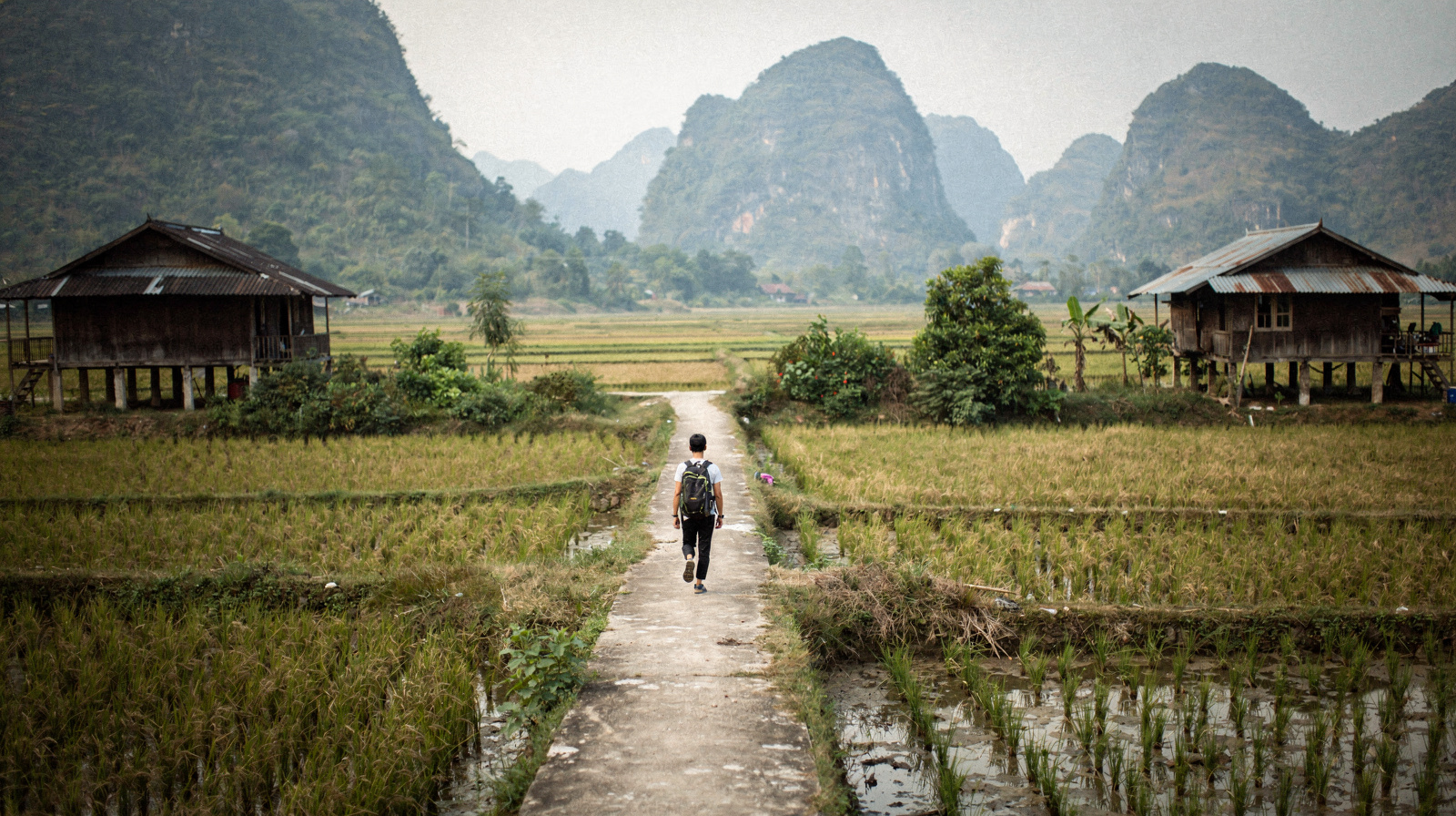 Walking in Mai Chau: Rice Fields, Stilt Houses and Valley Trails