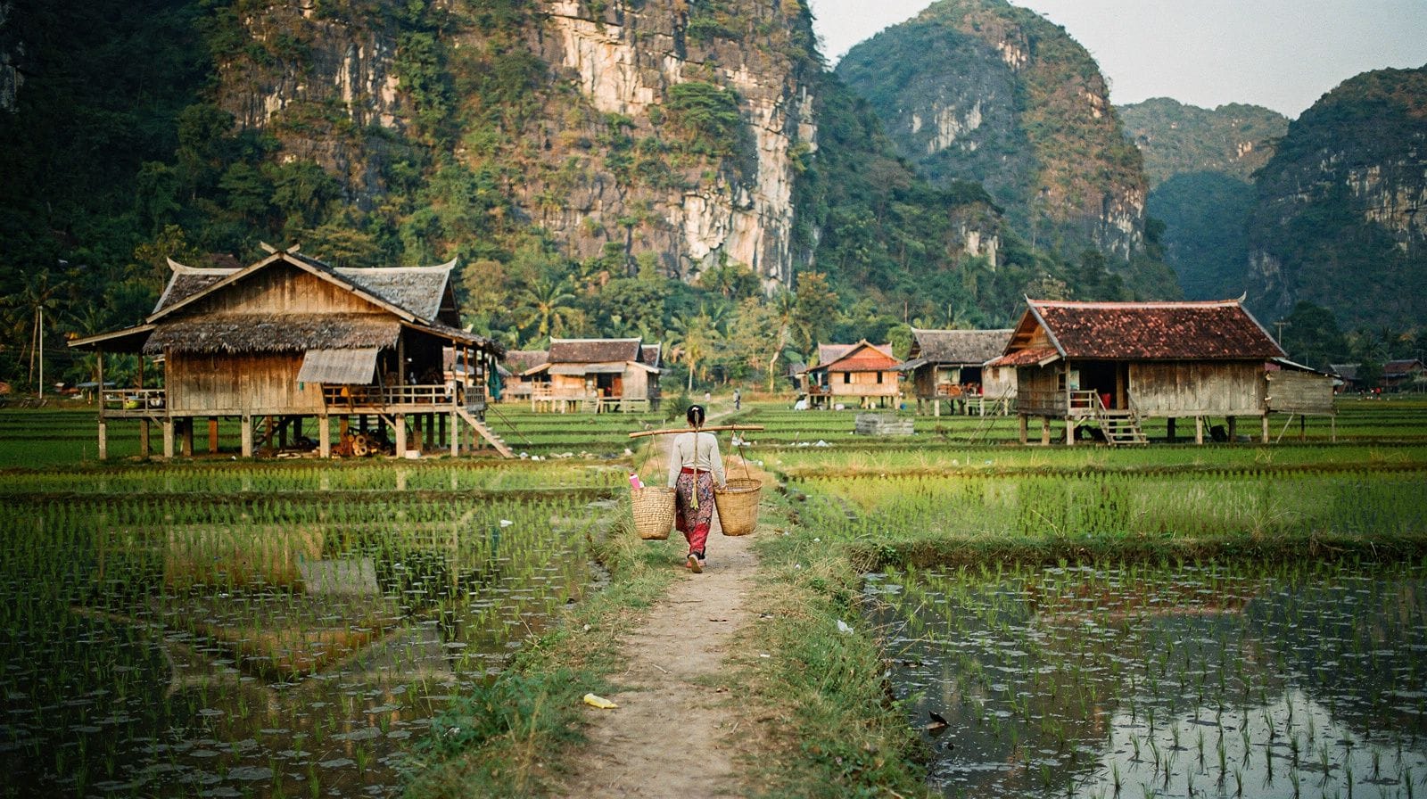 Mai Chau vs Pu Luong: Which Rice Valley Should You Choose