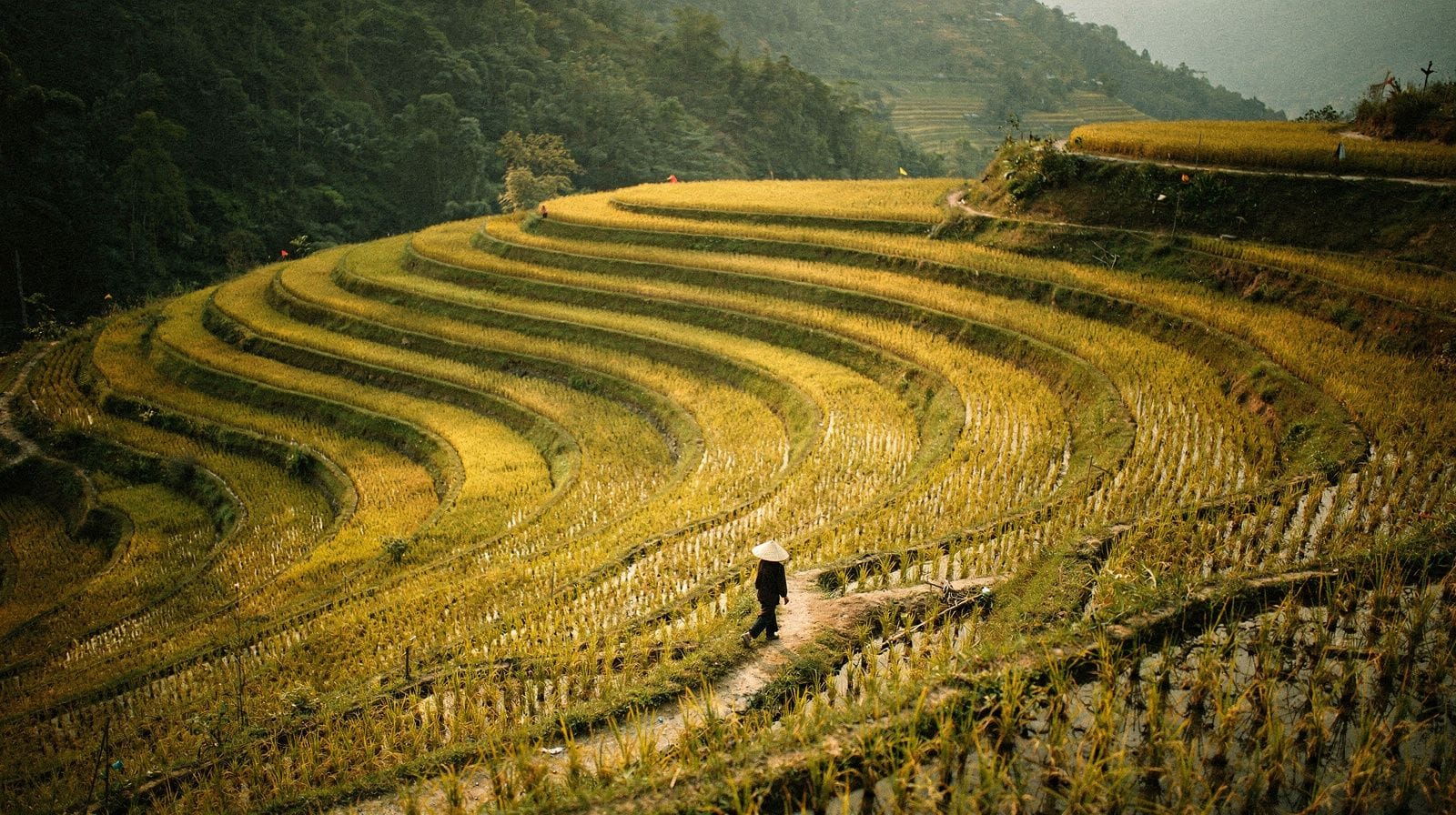 Walking the Terraces of Mu Cang Chai