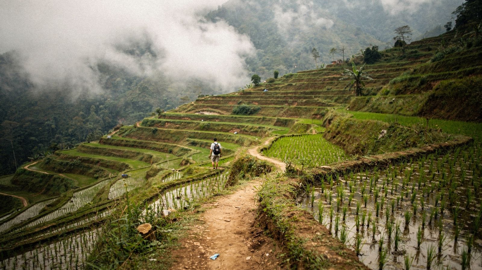 Pu Luong Trekking Guide: Walking the Rice Terraces and Karst Ridges
