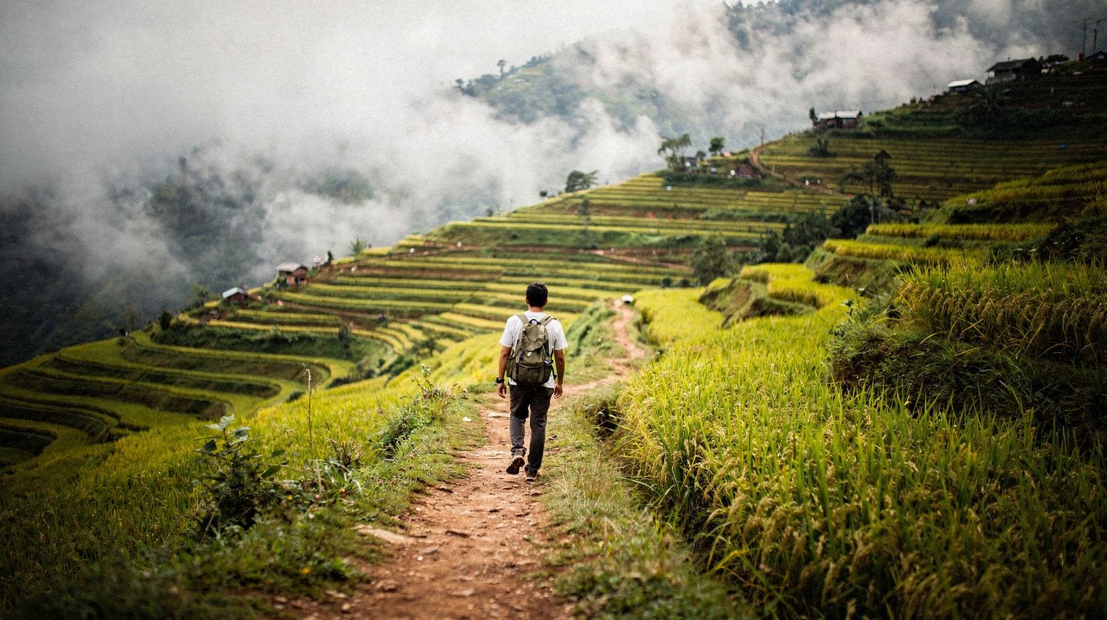Sapa Trekking Guide: The Hub for Walks in Vietnam's North