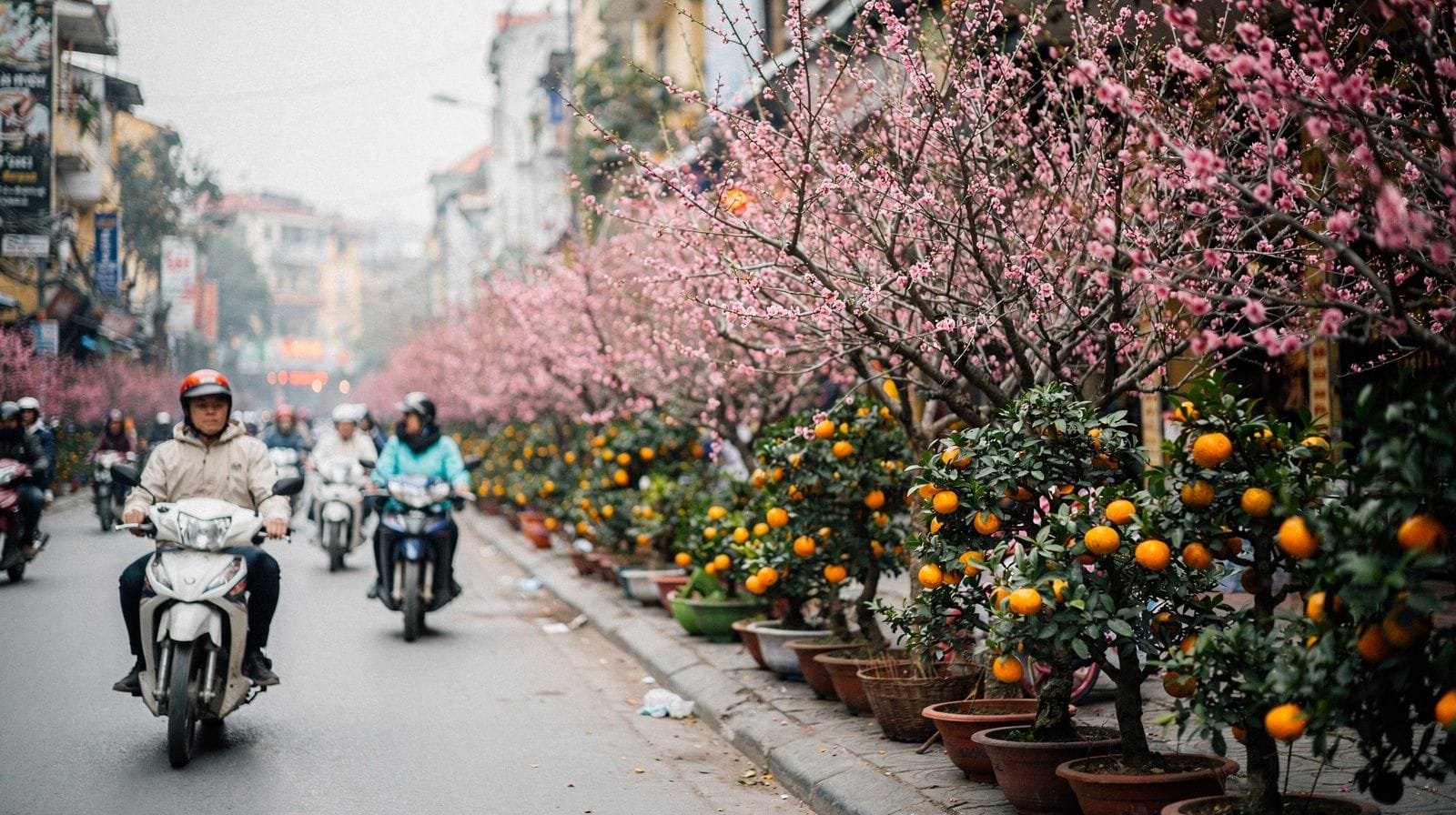 How Tet Affects Travel in Hanoi and the North