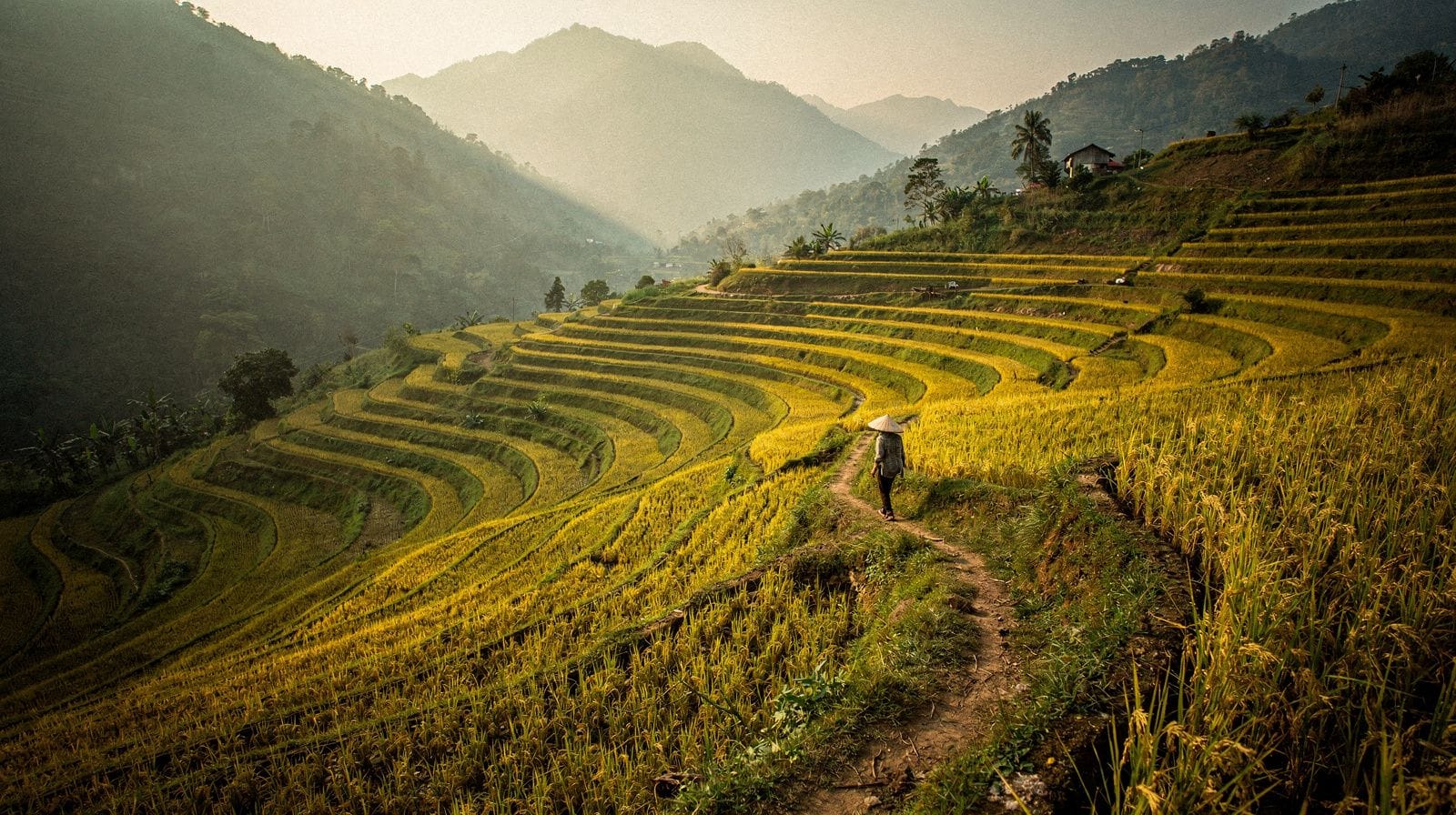 5 Days in Mu Cang Chai: Rice Terraces, Sapa and Bac Ha
