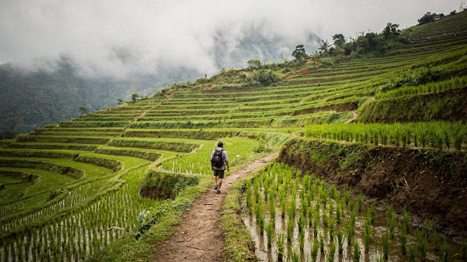 Seven Days Trekking: Sapa, Fansipan and Pu Luong